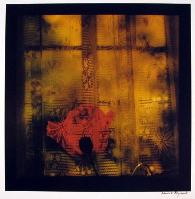 Reynek Daniel (1928 - 2014) : Záclona s červeným květem