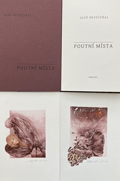 1. Bibliofilie  : Aleš Nevečeřal - Poutní místa