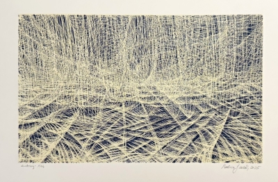 Kaloč Robin (1982) : Virtuální krajina I.