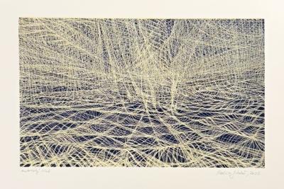 Kaloč Robin (1982) : Virtuální krajina II.