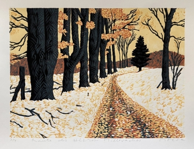 Macek Pavel  : Buková alej