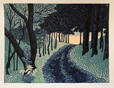 Macek Pavel  : Cesta lesem