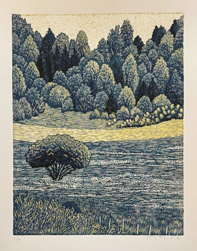 Macek Pavel  : Louka se suchopýrem