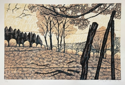 Macek Pavel  : Francouzská krajina