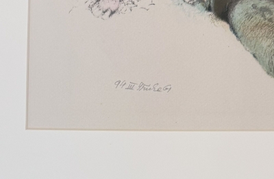 prev_1781019080_sen_1_vyrez.jpg